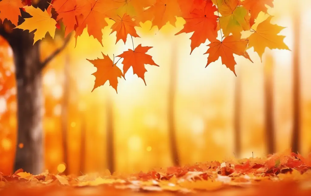 致14年前提笔写秋风落叶的自己